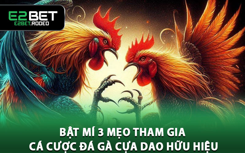 Bật mí 3 mẹo tham gia cá cược đá gà cựa dao hữu hiệu