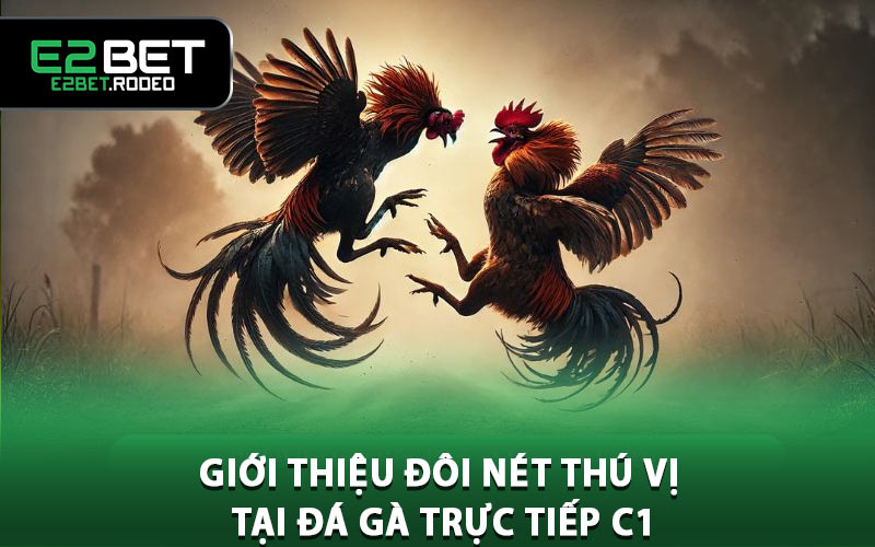 Giới thiệu đôi nét thú vị tại đá gà trực tiếp C1