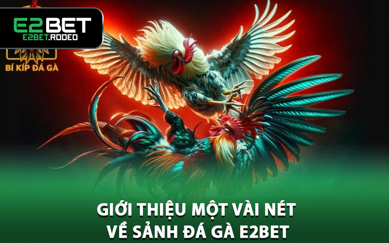 Giới thiệu một vài nét về sảnh đá gà E2BET