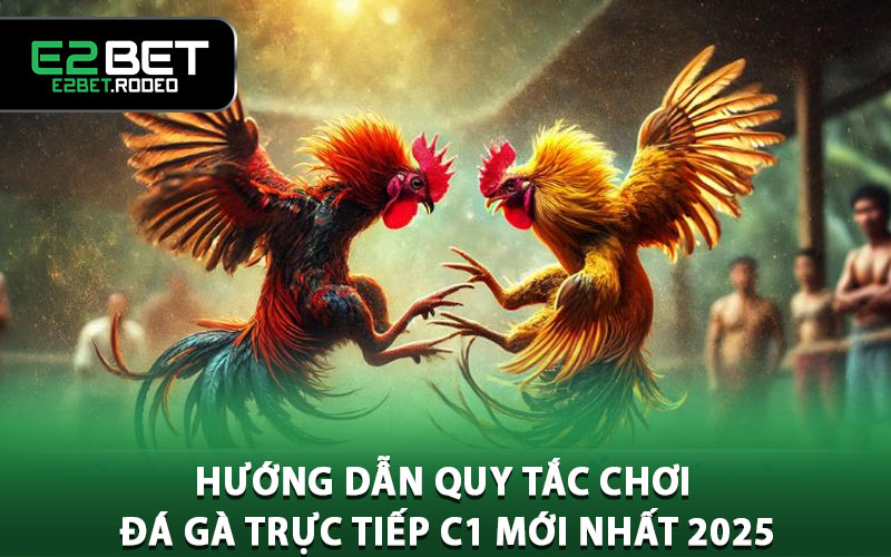 Hướng dẫn quy tắc chơi đá gà trực tiếp C1 mới nhất 2025