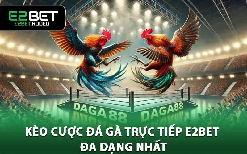 Kèo cược đá gà trực tiếp E2BET đa dạng nhất