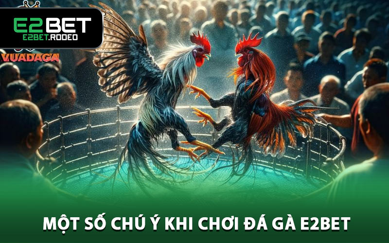 Một số chú ý khi chơi đá gà E2BET mà người chơi cần biết