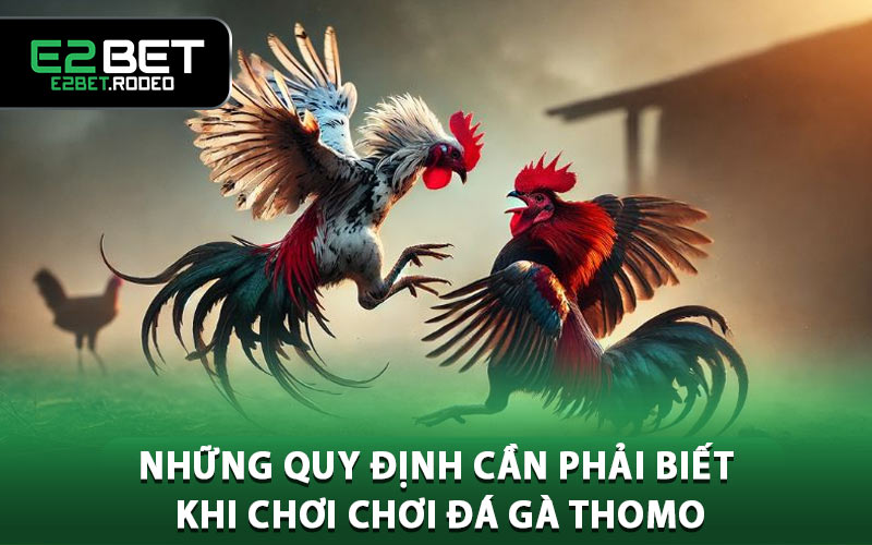 Những quy định cần phải biết khi chơi chơi đá gà Thomo