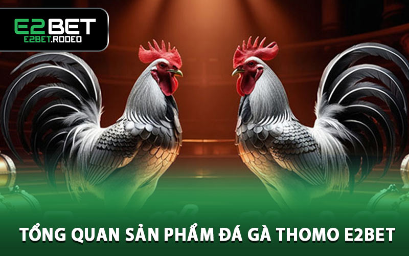 Tổng quan sản phẩm đá gà Thomo E2BET