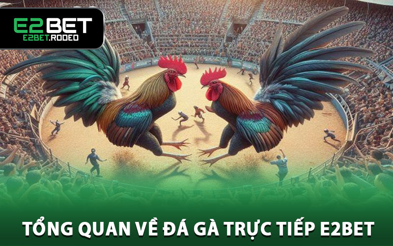 Tổng quan về đá gà trực tiếp E2BET